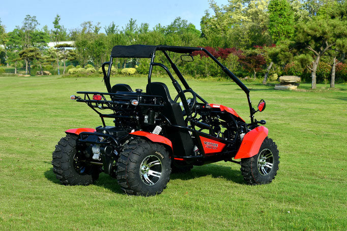 Venture 200EFI Go Kart