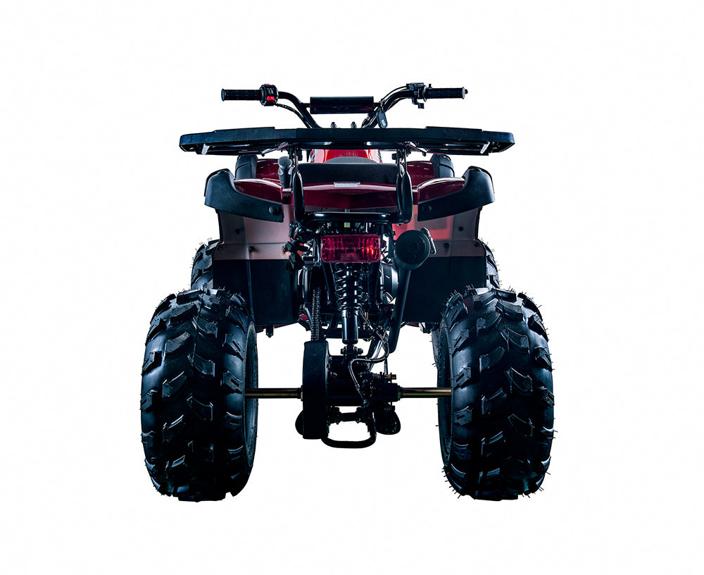 Rider 10 125cc ATV