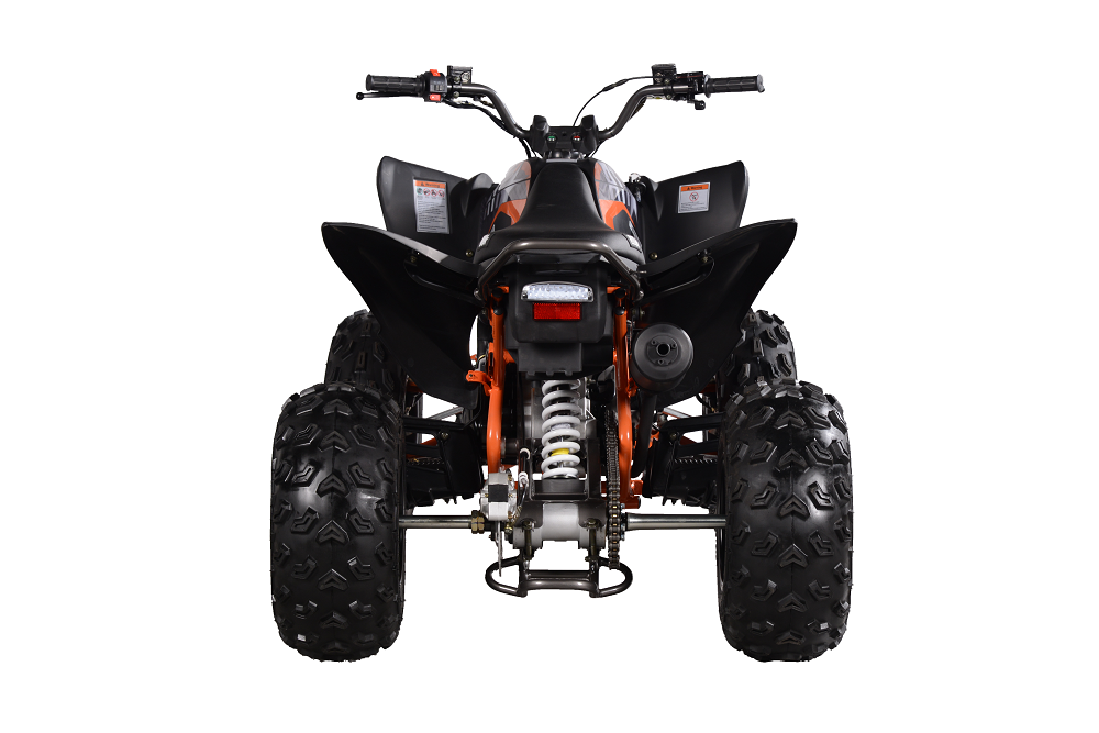 PENTORA 200 EFI ATV