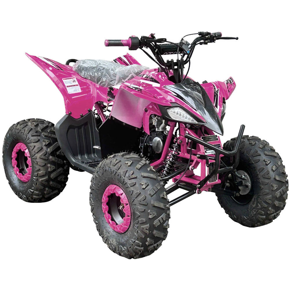 Pioneer 125cc ATV