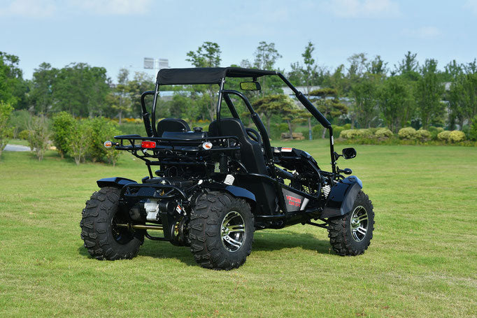 Venture 200EFI Go Kart