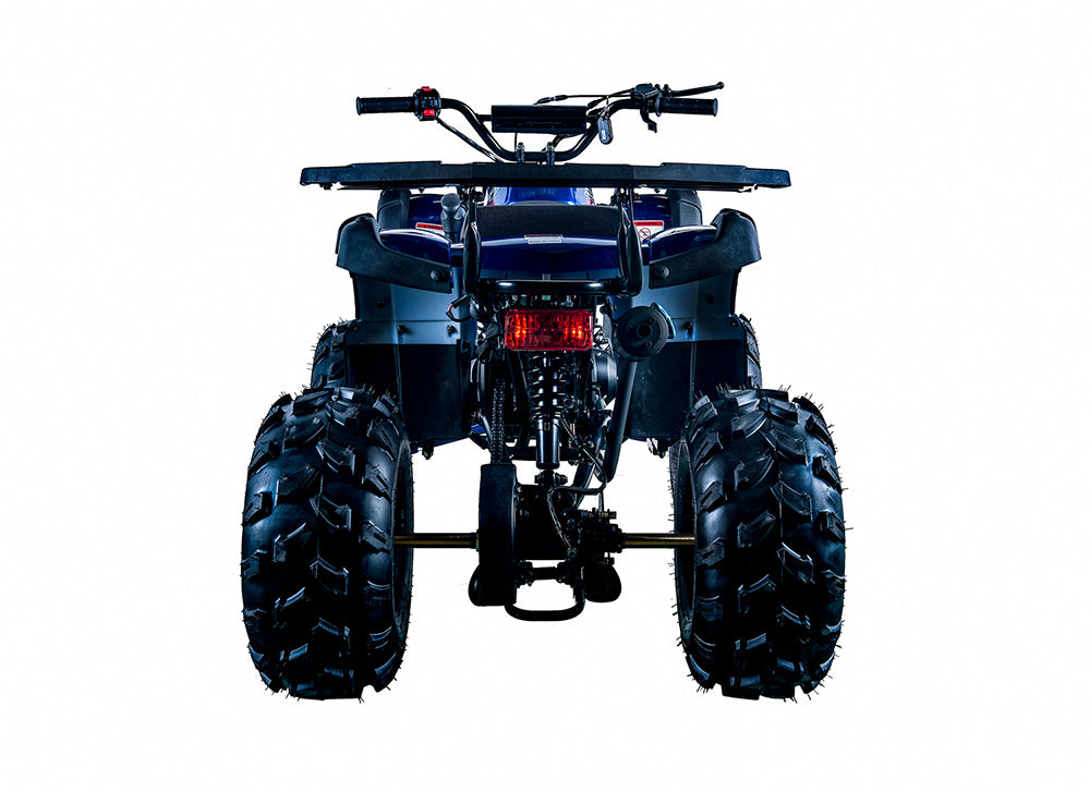 Rider 10 125cc ATV