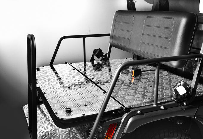 ROVER 300 EFI Golf Cart