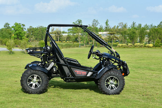 Venture 200EFI Go Kart