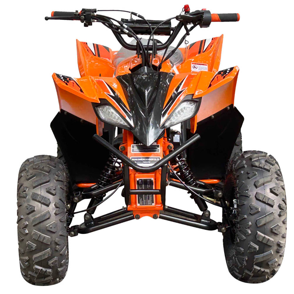 Pioneer 125cc ATV