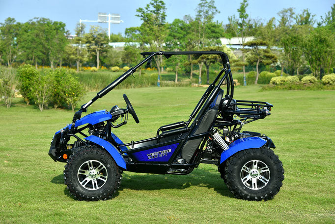 Venture 200EFI Go Kart