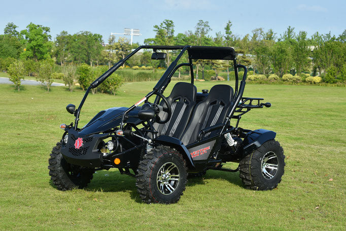 Venture 200EFI Go Kart
