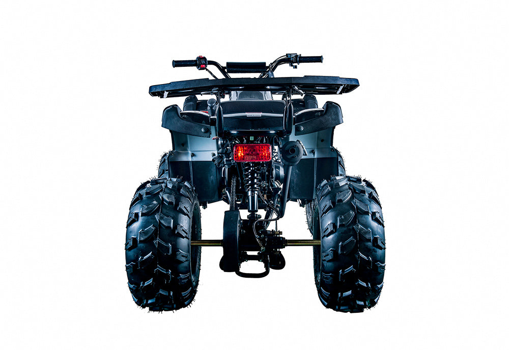 Rider 10 125cc ATV