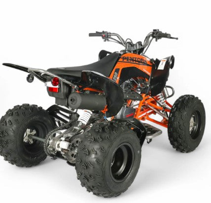 PENTORA 250cc ATV Automatic With Reverse