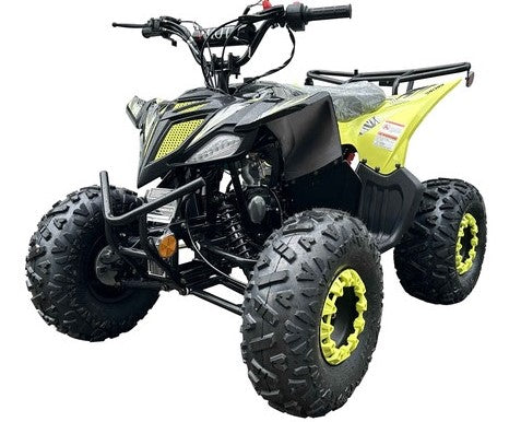 Pioneer 125cc ATV
