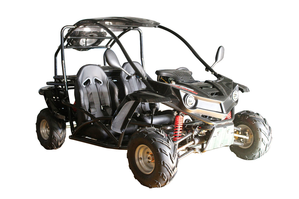 T-REX 125cc Go Kart