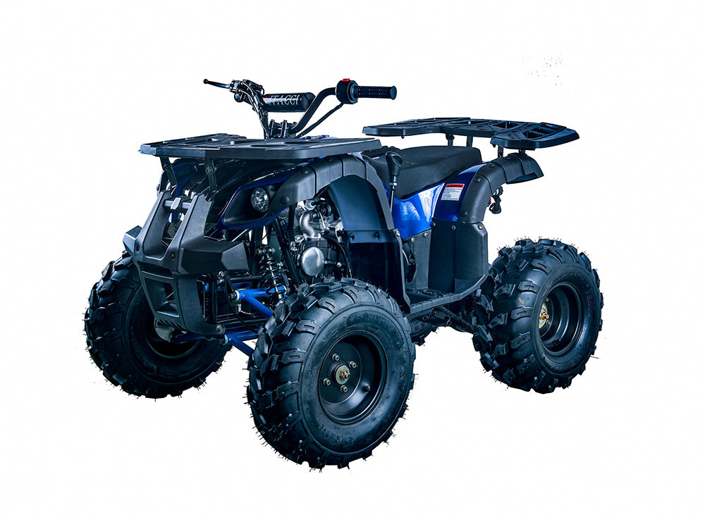 Rider 10 125cc ATV