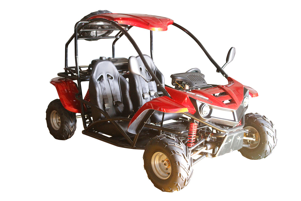 T-REX 125cc Go Kart
