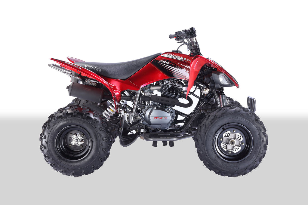 PENTORA 250cc ATV Automatic With Reverse