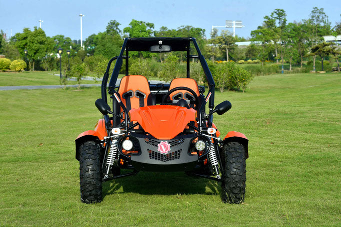 Venture 200EFI Go Kart