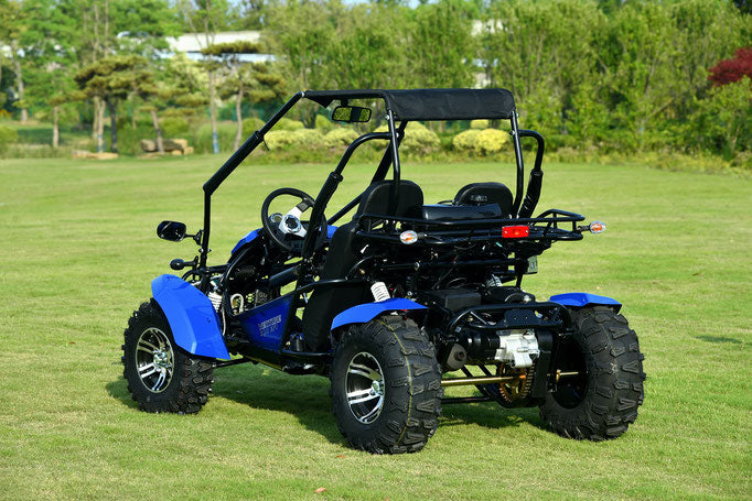 Venture 200EFI Go Kart