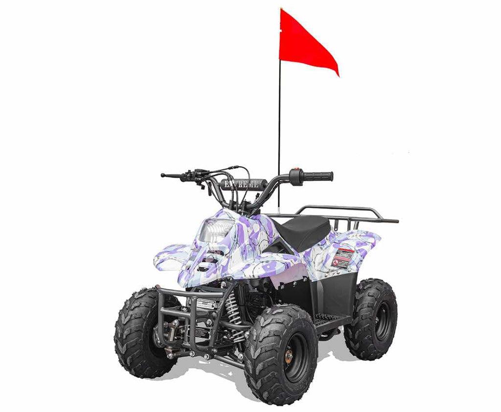 Hawk 110cc Child ATV No Reverse