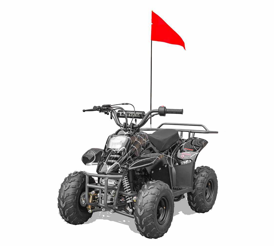 Hawk 110cc Child ATV No Reverse