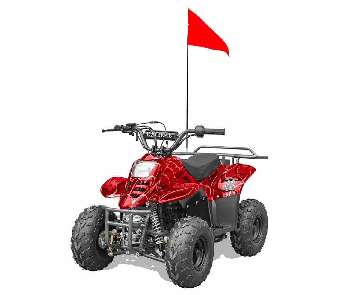 Hawk 110cc Child ATV No Reverse