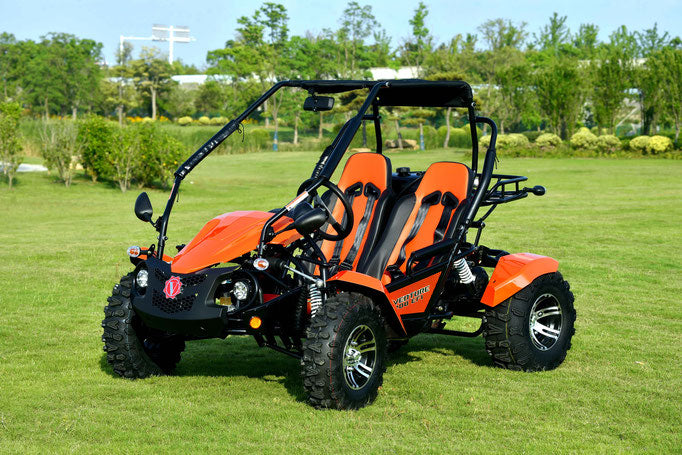 Venture 200EFI Go Kart