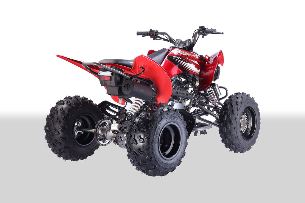 PENTORA 250cc ATV Automatic With Reverse